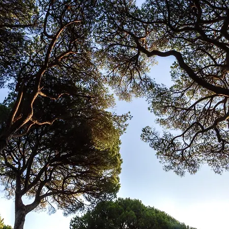 Village Il Sole Campsite