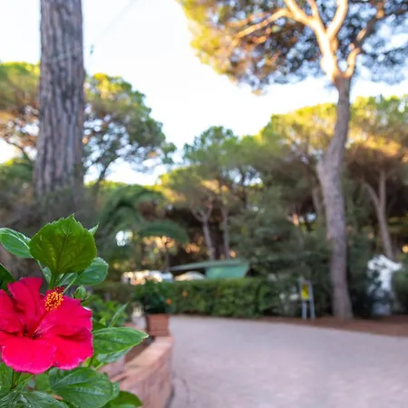 Campsite Village Il Sole