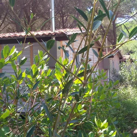 Village Il Sole Campsite