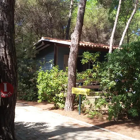 Village Il Sole 3* Marina di Grosseto