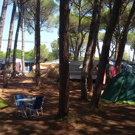 Campsite Village Il Sole Marina di Grosseto