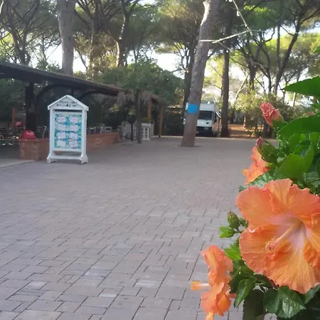 Village Il Sole 3* Marina di Grosseto